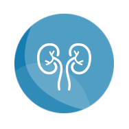 3_Urologia